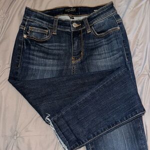 Judy Blue Size 0/24 Skinny Fit Jeans